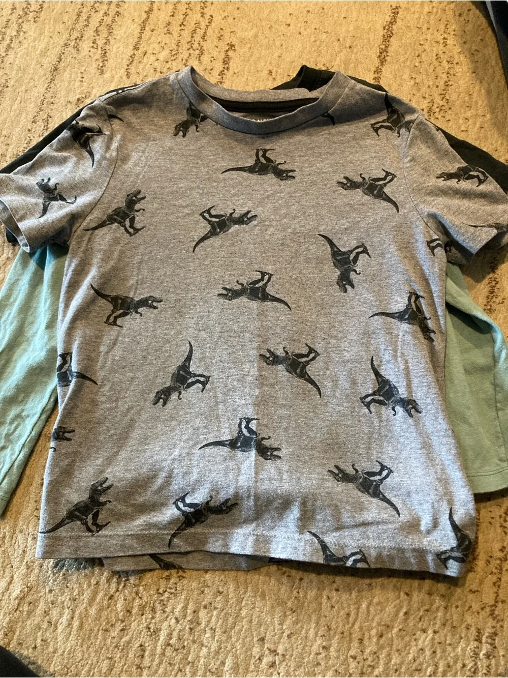 Kids Dino Graphic Tees